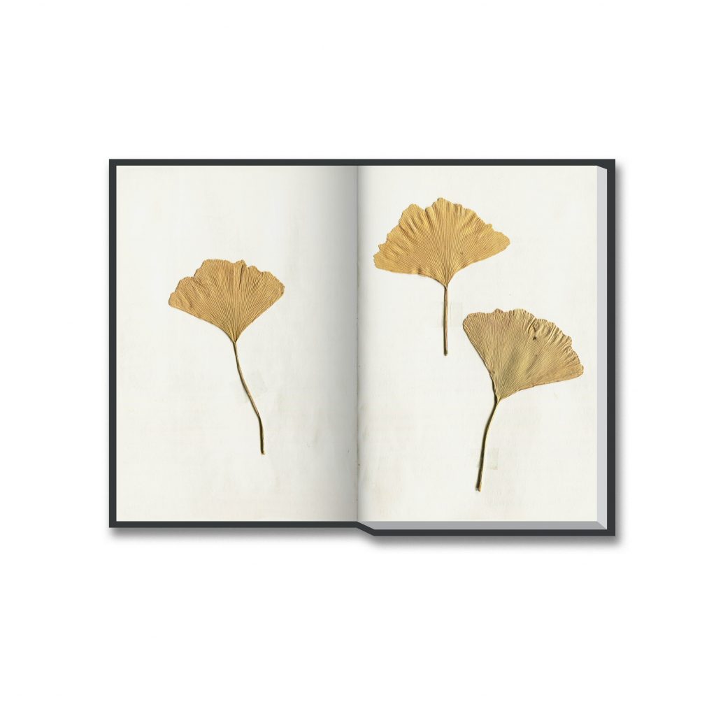 runieboy_SKETCHBOOK_2024_022